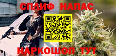шишки Вышний Волочёк